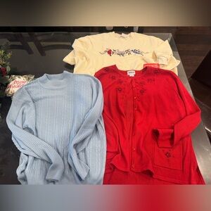 BonWorth Red and Blue Kids Sweater Set